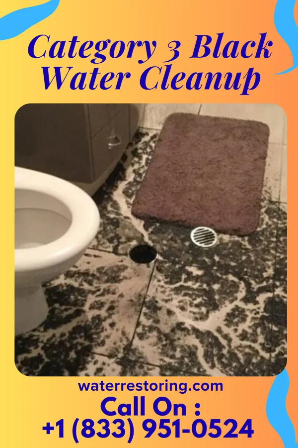 Category 3 Black Water Cleanup in Stratton Mountain, VT