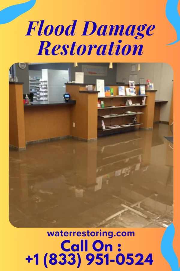 Flood Damage Restoration in Stratton Mountain, VT