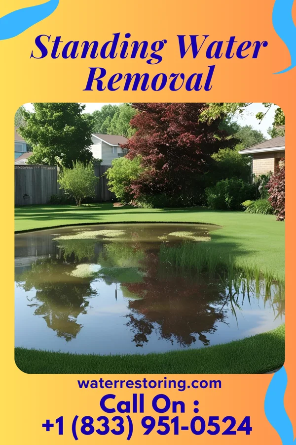 Standing Water Removal in Stratton Mountain, VT